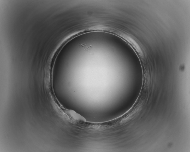 X0000097901000200803211437