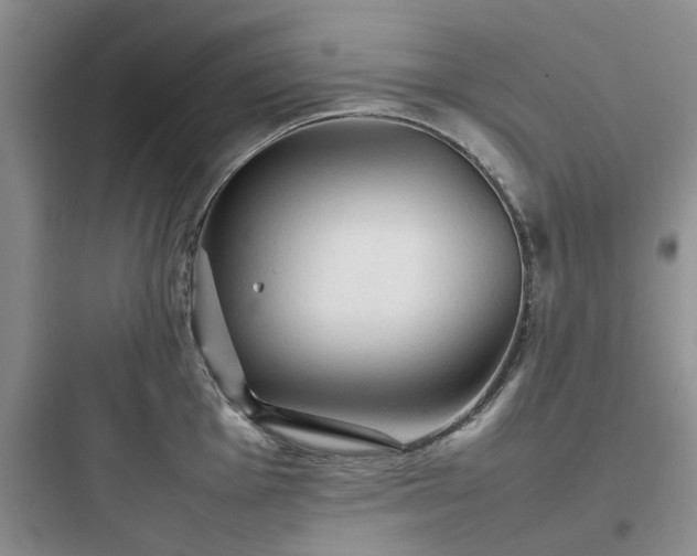 X0000097901001200803211437