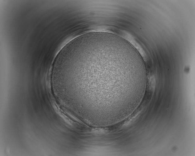 X0000097901002200803211437