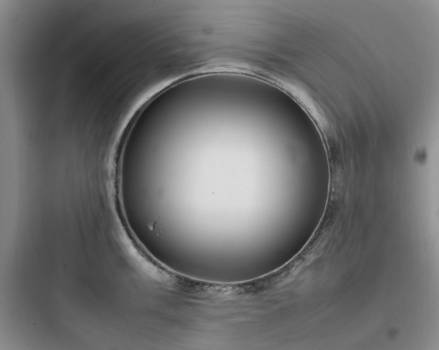 X0000097901003200803211437