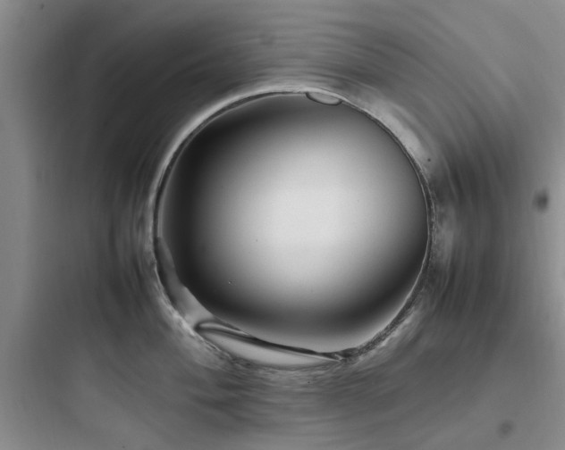X0000097901004200803211437