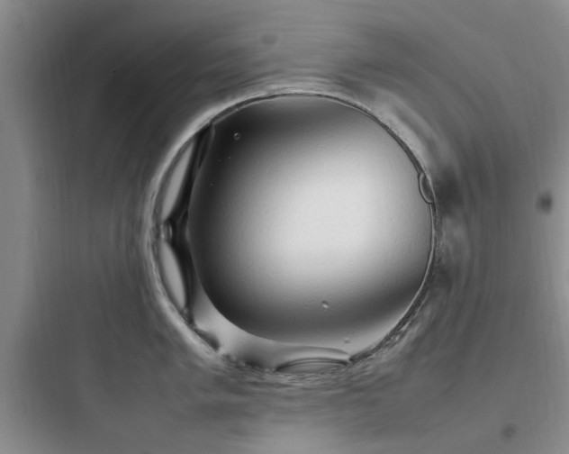X0000097901005200803211437