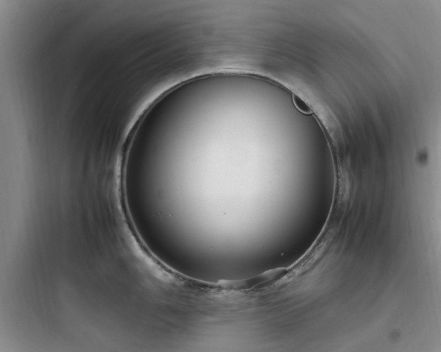 X0000097901006200803211437