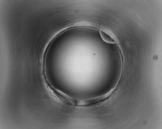 X0000097901008200803211437