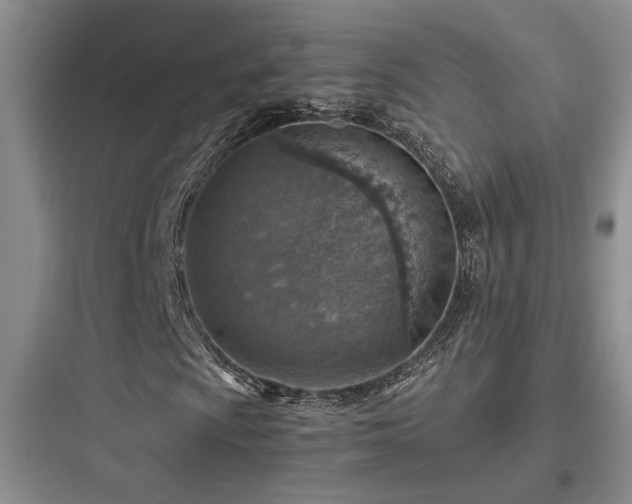 X0000097901009200803211436