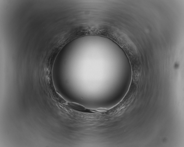 X0000097901010200803211436