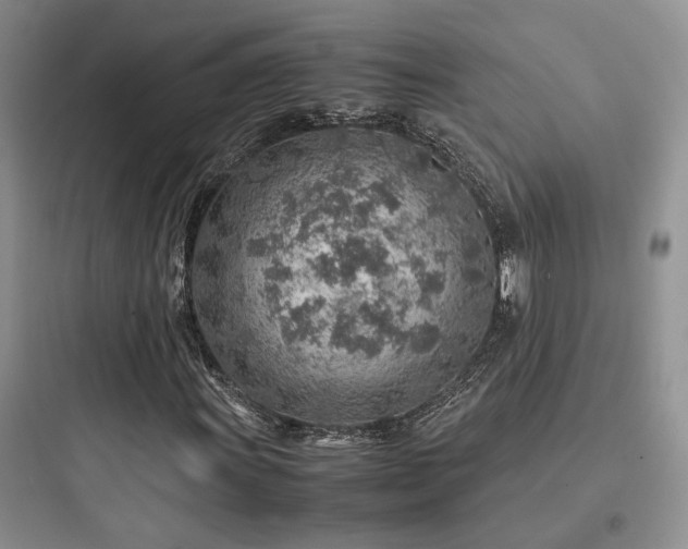 X0000097901011200803211436