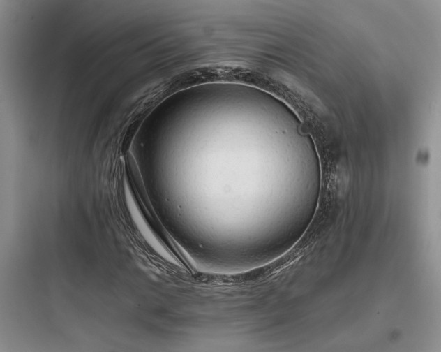 X0000097901014200803211436