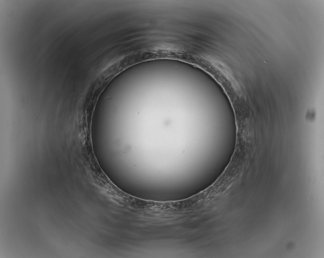 X0000097901015200803211436