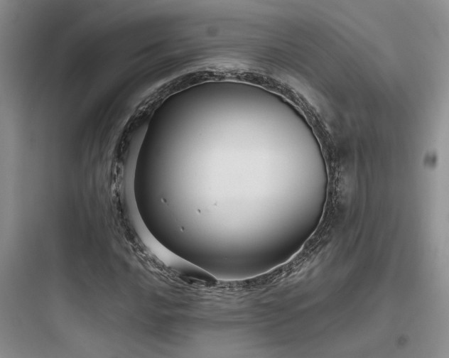 X0000097901016200803211436