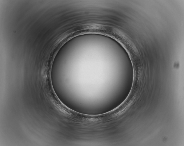 X0000097901017200803211436