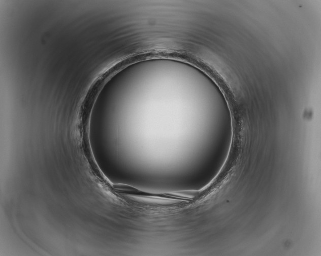 X0000097901018200803211436