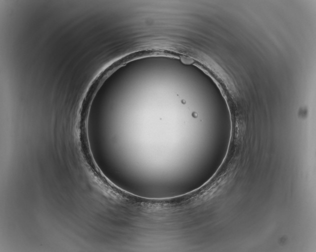X0000097901020200803211436