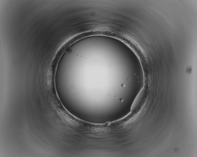 X0000097901021200803211436