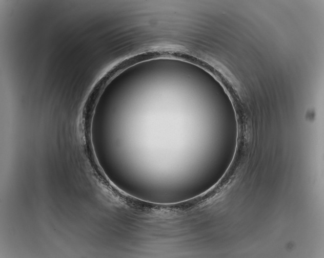 X0000097901022200803211436