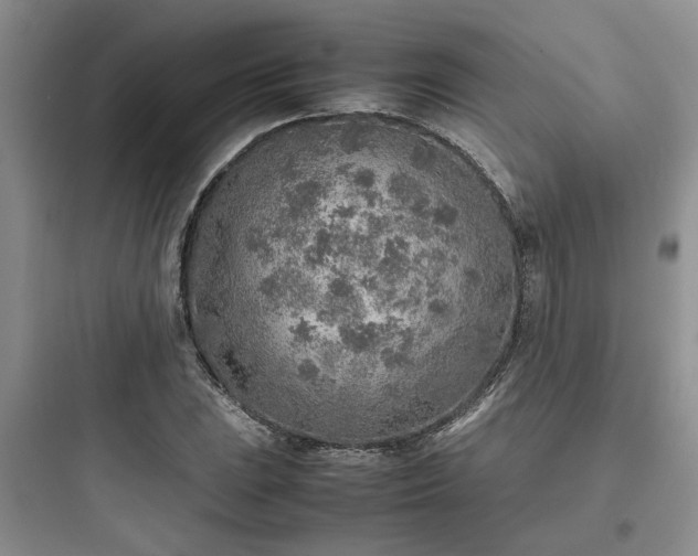 X0000097901023200803211437