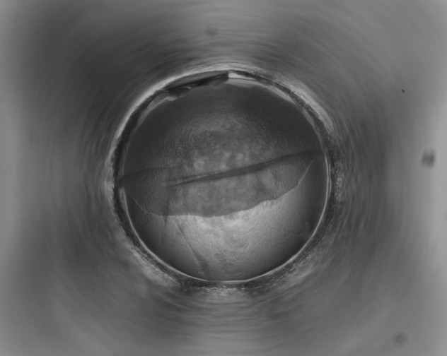 X0000097901024200803211437