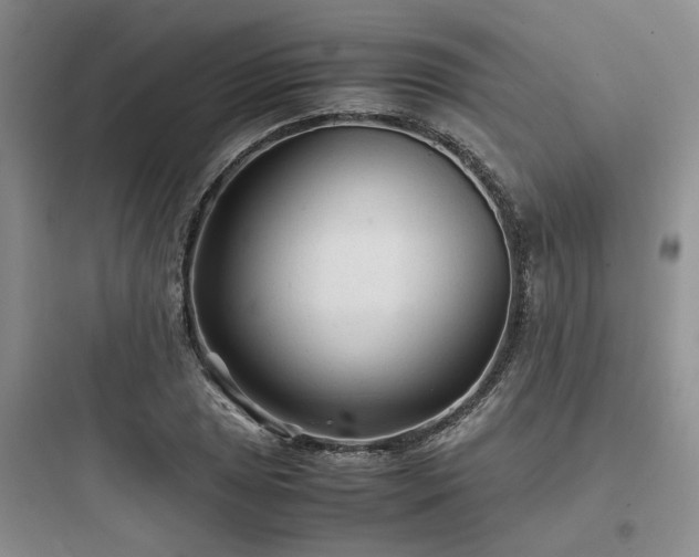 X0000097901025200803211437