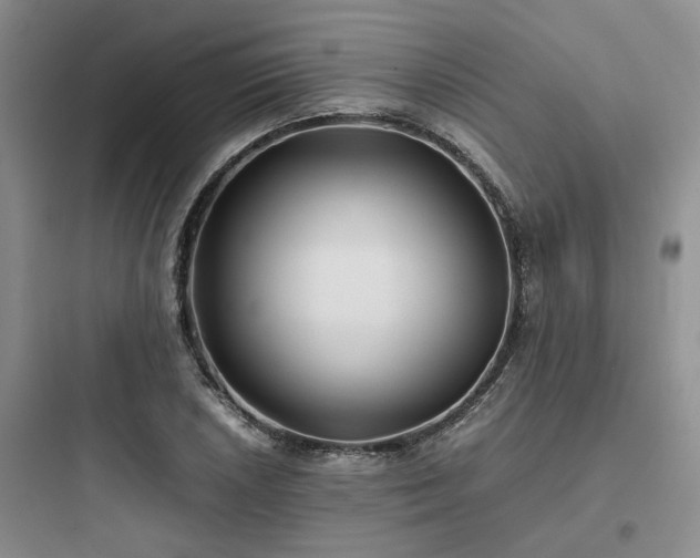 X0000097901026200803211437