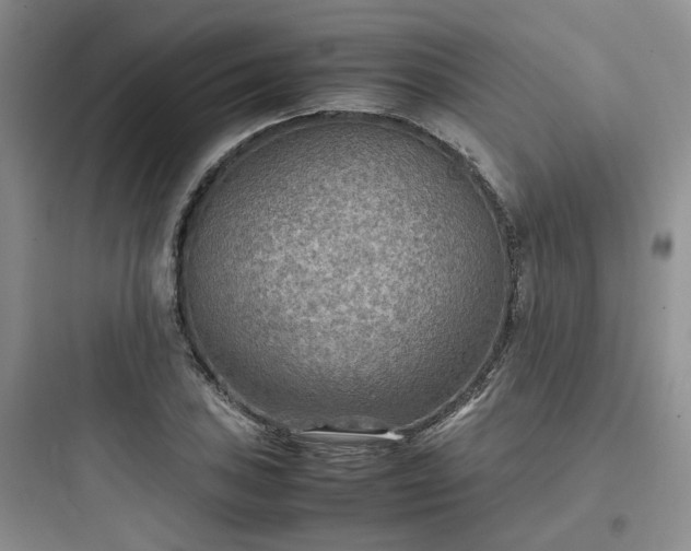 X0000097901027200803211437