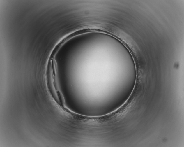 X0000097901028200803211437