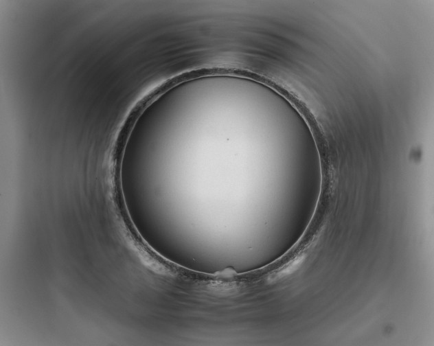 X0000097901029200803211437