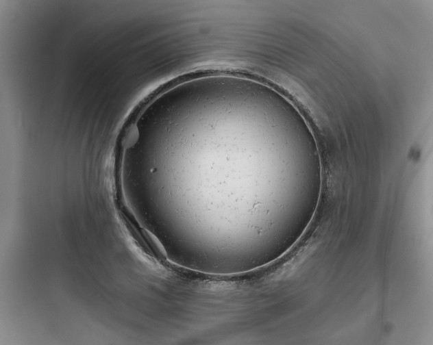 X0000097901030200803211437