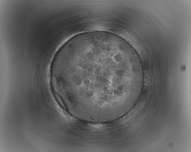 X0000097901031200803211437