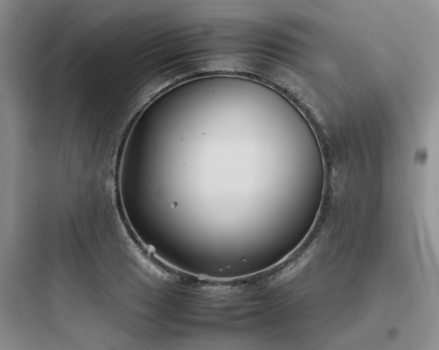 X0000097901033200803211437