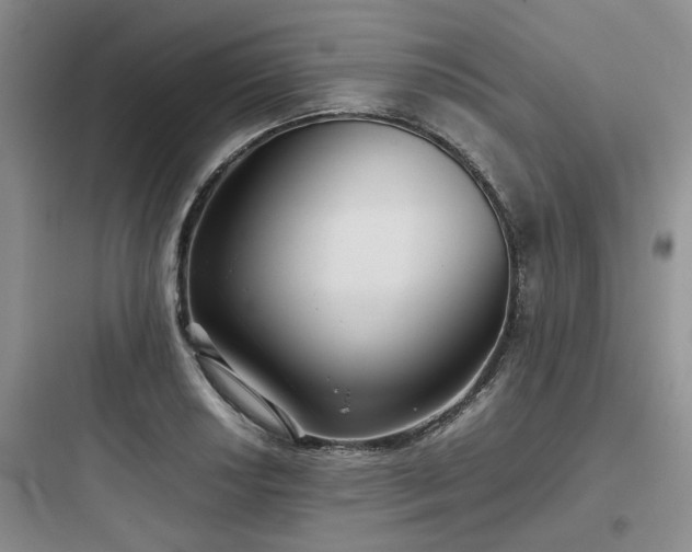 X0000097901034200803211437