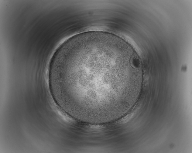 X0000097901035200803211437