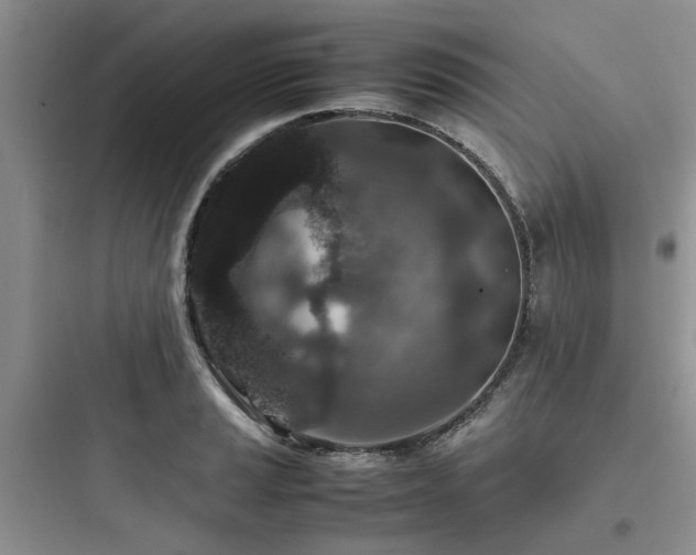 X0000097901037200803211437
