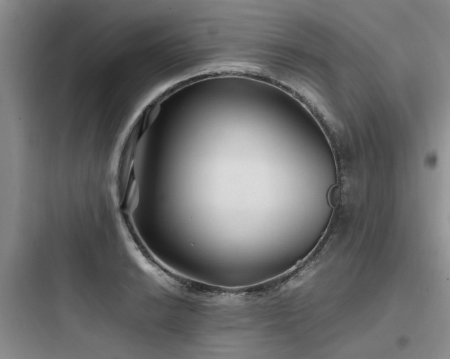 X0000097901038200803211437