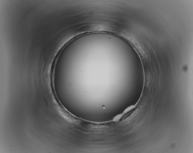 X0000097901039200803211437