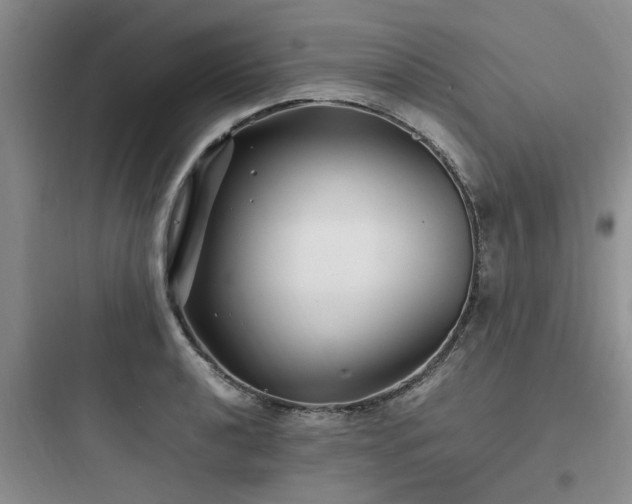 X0000097901040200803211437