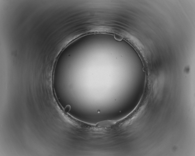 X0000097901041200803211437