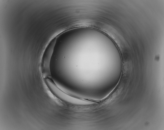 X0000097901042200803211437