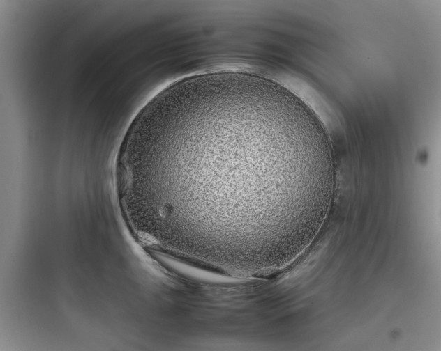 X0000097901047200803211437