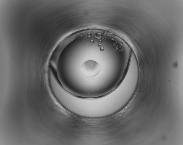 X0000097901048200803211437