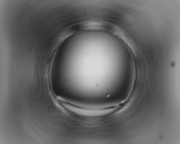 X0000097901049200803211437