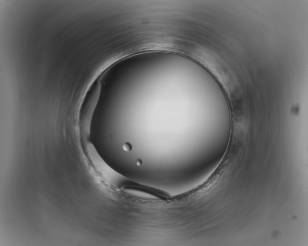 X0000097901050200803211437