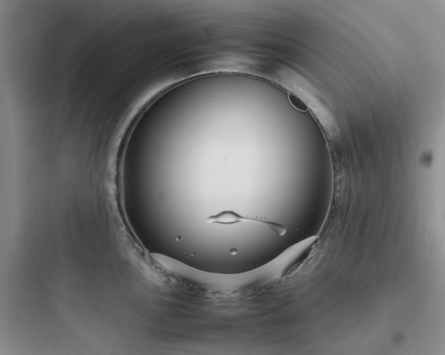 X0000097901051200803211437