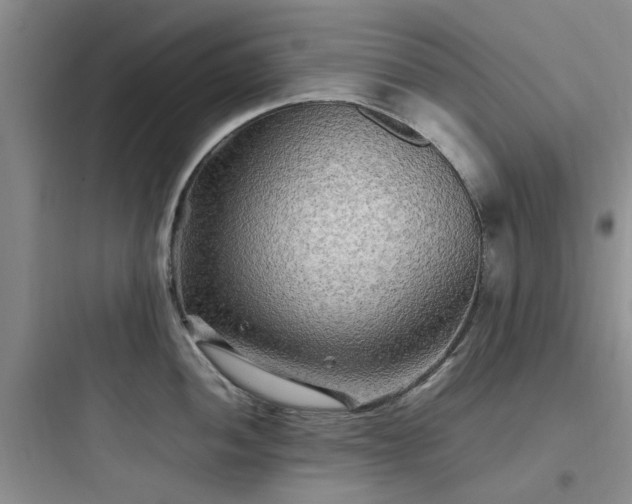 X0000097901052200803211437