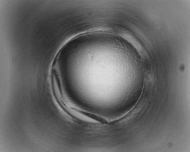 X0000097901055200803211437