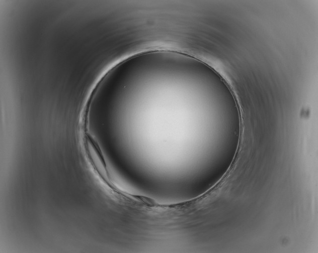 X0000097901056200803211437