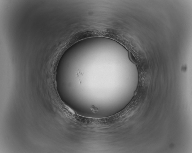 X0000097901057200803211436