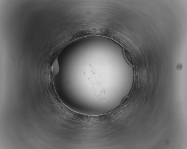 X0000097901058200803211436