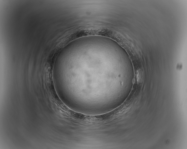 X0000097901059200803211436