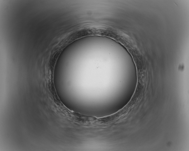X0000097901061200803211436