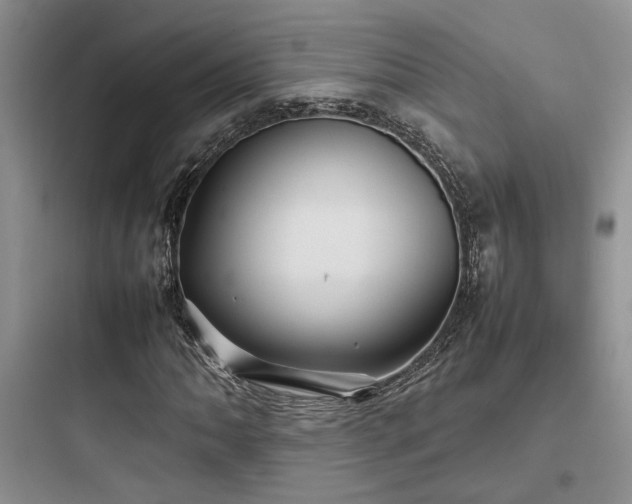 X0000097901062200803211436